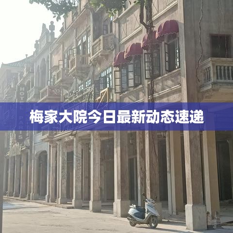 梅家大院今日最新动态速递