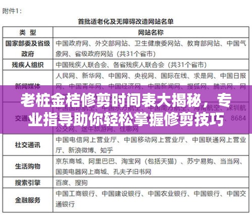 老桩金桔修剪时间表大揭秘，专业指导助你轻松掌握修剪技巧！