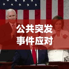 公共突发事件应对详解，应对策略与关键要点讲稿