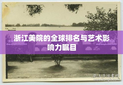 浙江美院的全球排名与艺术影响力瞩目