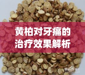 黄柏对牙痛的治疗效果解析，百度健康为您解答