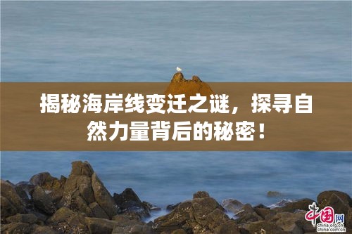 揭秘海岸线变迁之谜，探寻自然力量背后的秘密！