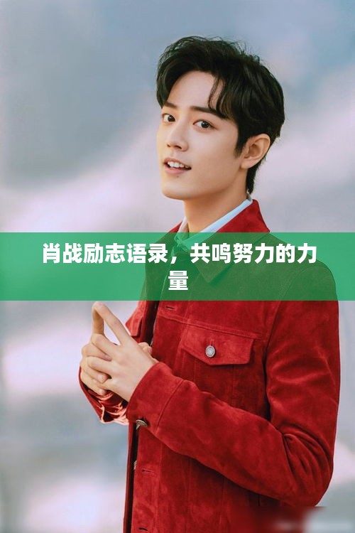 肖战励志语录，共鸣努力的力量