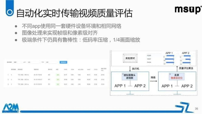 MG官方软件下载，专业级工具的综合评估与说明