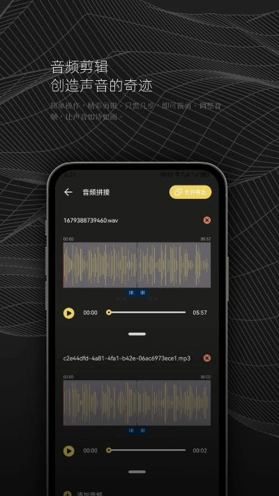 世纪之音官方下载,动态调整策略执行 黄金版1_v3.589