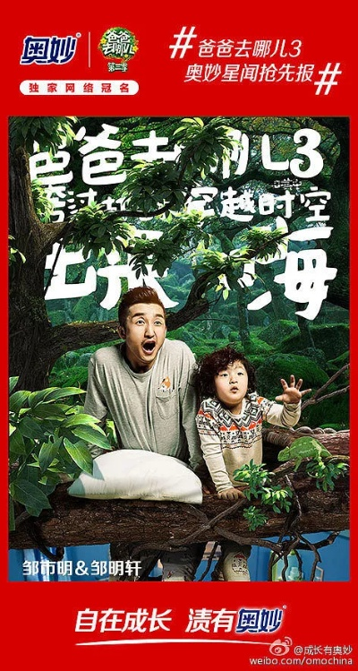 爸爸5官方下载,国产化作答解释定义_网页款_v8.258