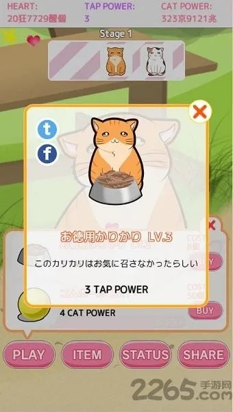 pangya单机版与猫咪 官方下载,可靠操作策略方案 增强版1_v1.552