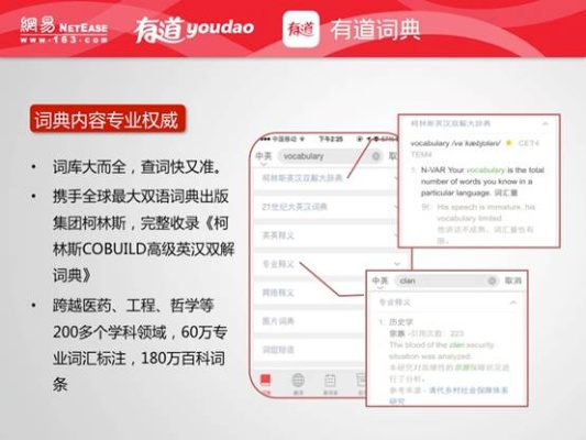 有道词典 单机版与官方下载象棋,数据执行驱动决策_2D_v8.385