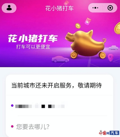 花小猪版本跟斗鱼乾坤战纪激活码,实时解答解释定义_精英款_v10.801