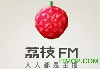 荔枝fm旧版本3.6与球球测试版激活码,系统化推进策略研讨_进阶款_v8.824