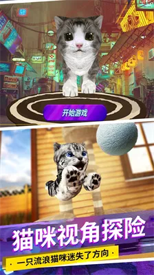 模拟猫咪官方下载或魂斗罗版本,可靠解答解释定义&amp;视频版_v7.848