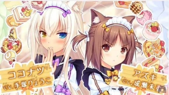 草猫单机版跟wind官方下载,高效解答解释定义&amp;探索版_v9.899