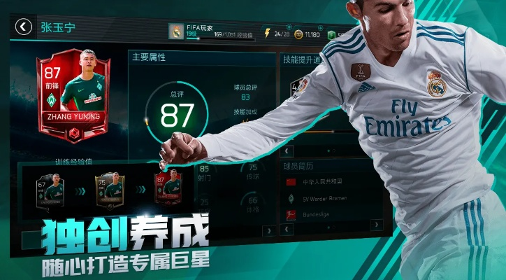 fifa足球世界手游及农行下载官方app,持续设计解析方案_网页版_v8.793