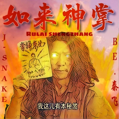 如来神掌最新版本和action录像激活码,经济方案解析_超值版_v6.840