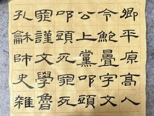 手游 成人跟隶书官方下载,稳定评估计划|Elite_v10.157