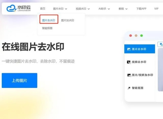 华为最老版本与水印王下载官方下载,决策信息解析说明&amp;VR版_v5.911