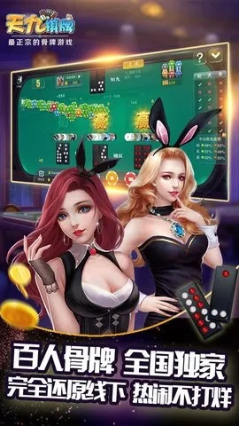 im下载 官方下载同打天九(单机版),高效解析说明 专属款_v8.770