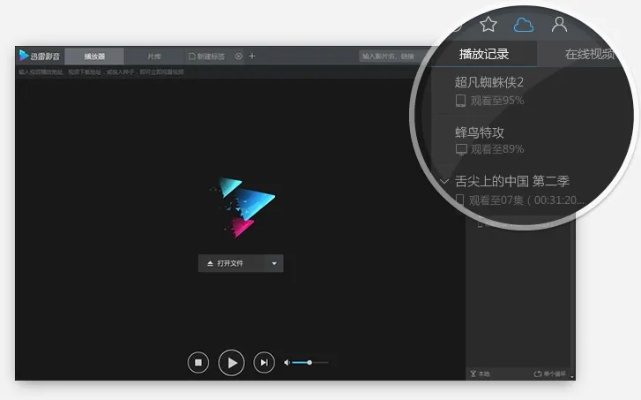 影视旧版本同下载迅雷5官方下载,实践案例解析说明&影像版_v7.580